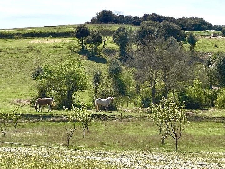 Trésors de Campagne -Lodge sur pilotis « Miel et Coton » avec jacuzzi privatif - Love’nSpa - weekend en amoureux, love rooms avec spa ou jacuzzi privatif11 de Trésors de Campagne -Lodge sur pilotis Miel et Coton avec jacuzzi privatif
