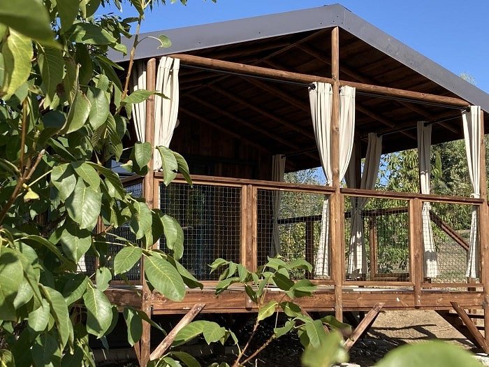 Trésors de Campagne -Lodge sur pilotis « Miel et Coton » avec jacuzzi privatif - Love’nSpa - weekend en amoureux, love rooms avec spa ou jacuzzi privatif